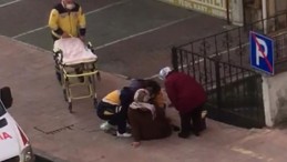 Samsun’da kaldırımda kıvranıyordu görünce şok oldu! Doğum yaptı