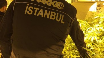 Beykoz’da uyuşturucu serasına çevrilen daireye baskın