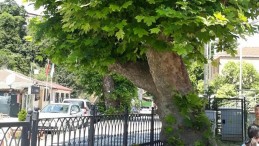 Çubuklu’da 159 yıllık bir ömür