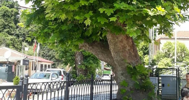 Çubuklu’da 159 yıllık bir ömür