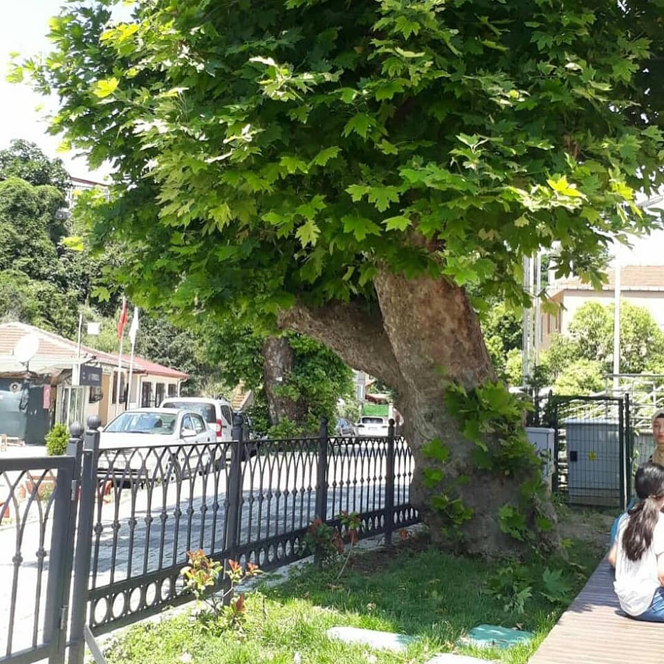 Çubuklu’da 159 yıllık bir ömür