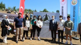 BEYKOZ’DA BEBEKLERE ÖZEL ORMAN