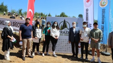 BEYKOZ’DA BEBEKLERE ÖZEL ORMAN