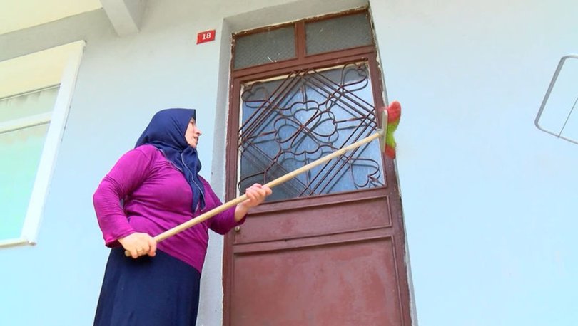 Beykoz’da tırtıl istilası!