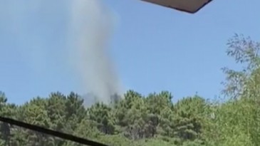 Beykoz’da ormanlık alanda çıkan yangın söndürüldü