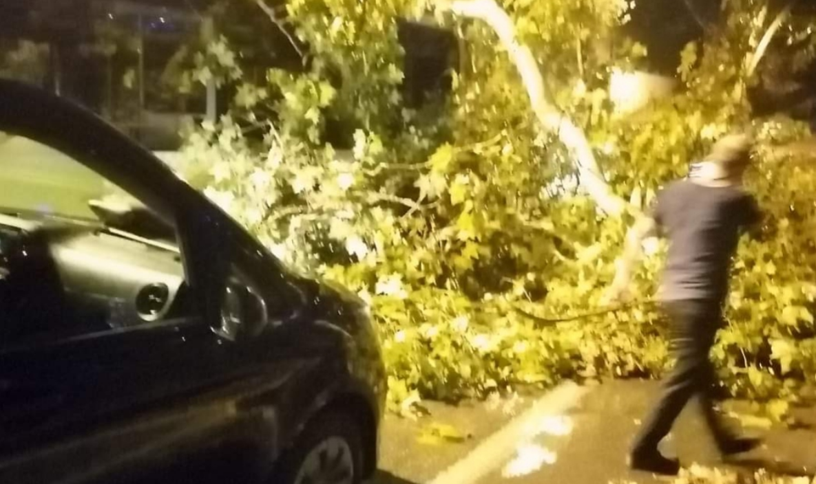 Beykoz’da Fırtına: Ağaç Otobüsün Üstüne Düştü