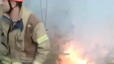 Beykoz’da orman yangını