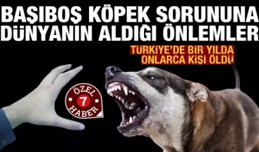 Dünya başıboş köpek sorununa karşı hangi önemleri alıyor? Türkiye’de bir yılda çok sayıda kişi öldü