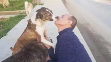 Hayvan derneği başkanından provokatif mesaj: “Kan akacak!”