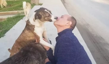 Hayvan derneği başkanından provokatif mesaj: “Kan akacak!”
