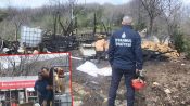 Beykoz’da ahır yangını: 1 inek ve 1 köpek öldü